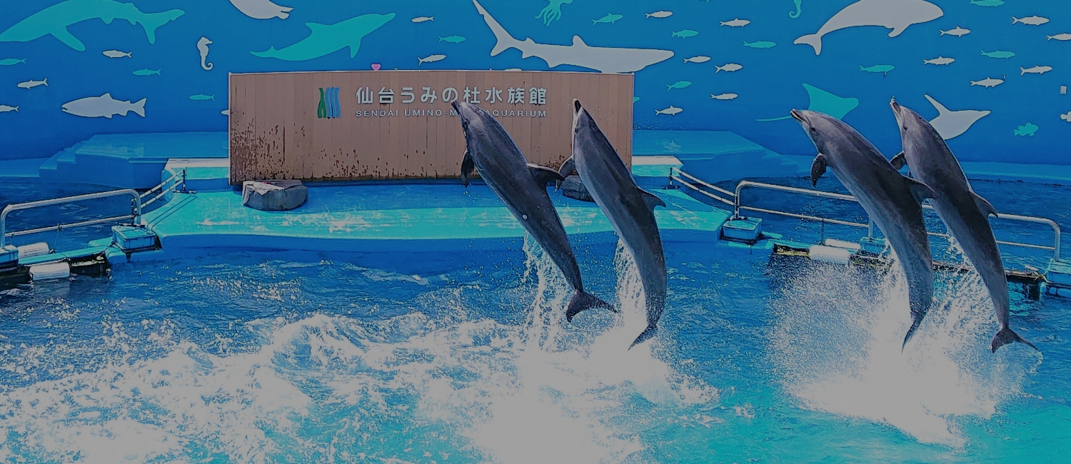 仙台うみの杜水族館